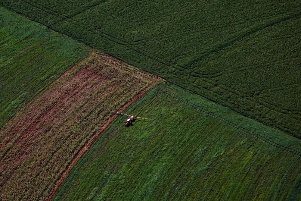 PIB do Paraná cresce 2,9% nos três primeiros trimestres, acima da média nacional