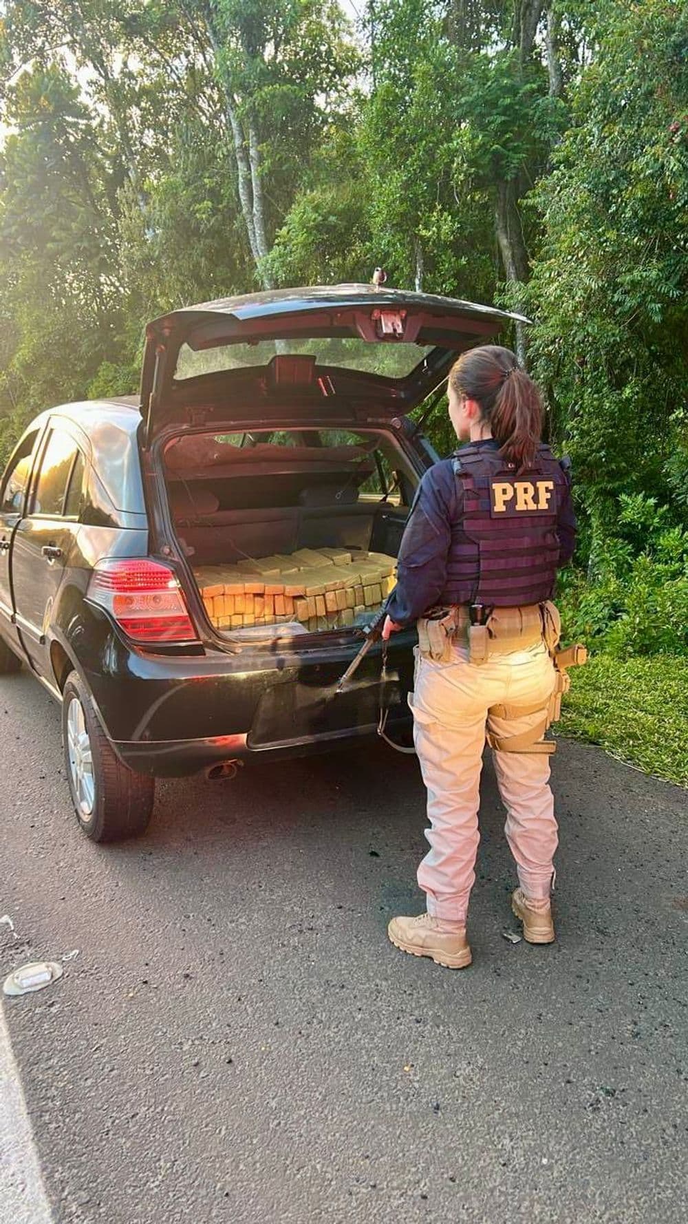 PRF apreende 220 quilos de maconha na BR-277, em Irati (PR)