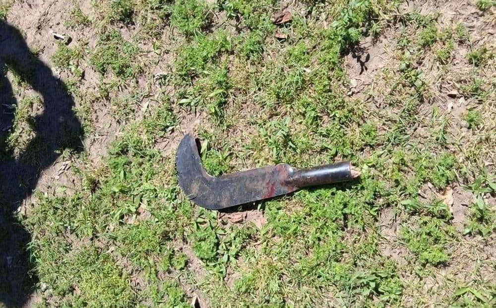 Vizinho invade pátio armado com foice e assusta moradora em Irati (PR)