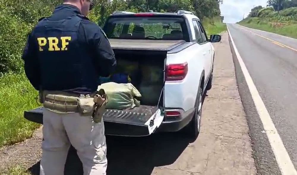 PRF apreende mais de 210 kg de maconha em Imbituva; droga teria como destino Irati